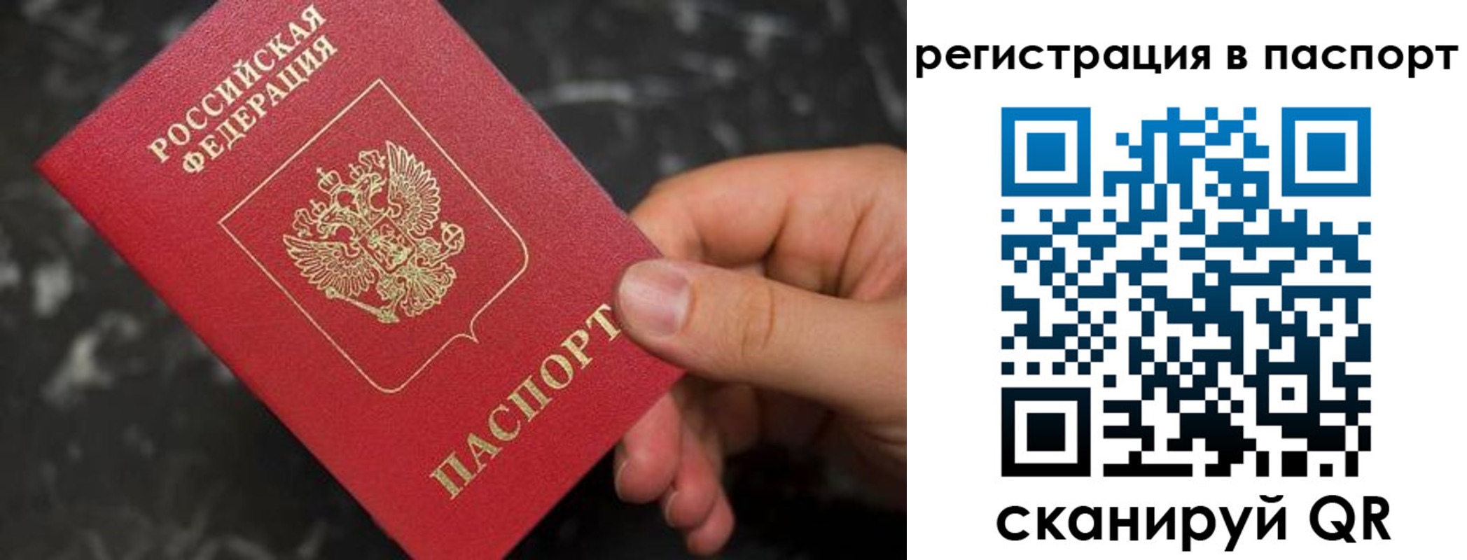 прописка для работы в Вязьме